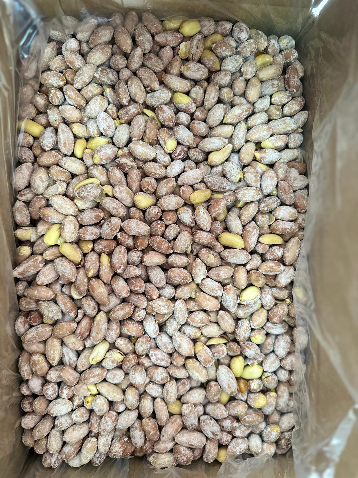 Serde | 塩味ピーナッツ、XL