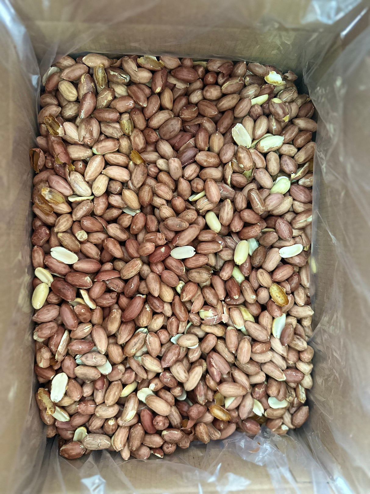 Serde | 無塩ピーナッツ、XL