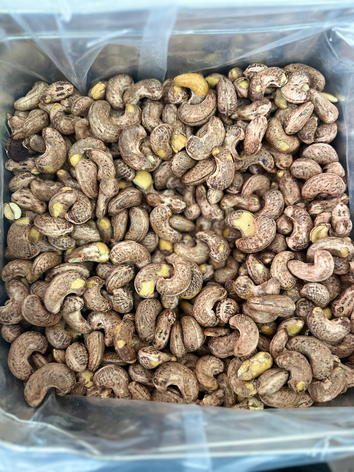 Serde | デラックス XL 殻付きカシューナッツ(ジャンボ)